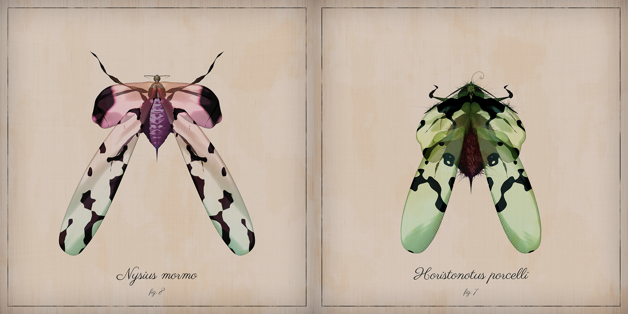 Anselmo Insect ProcGen Entomology