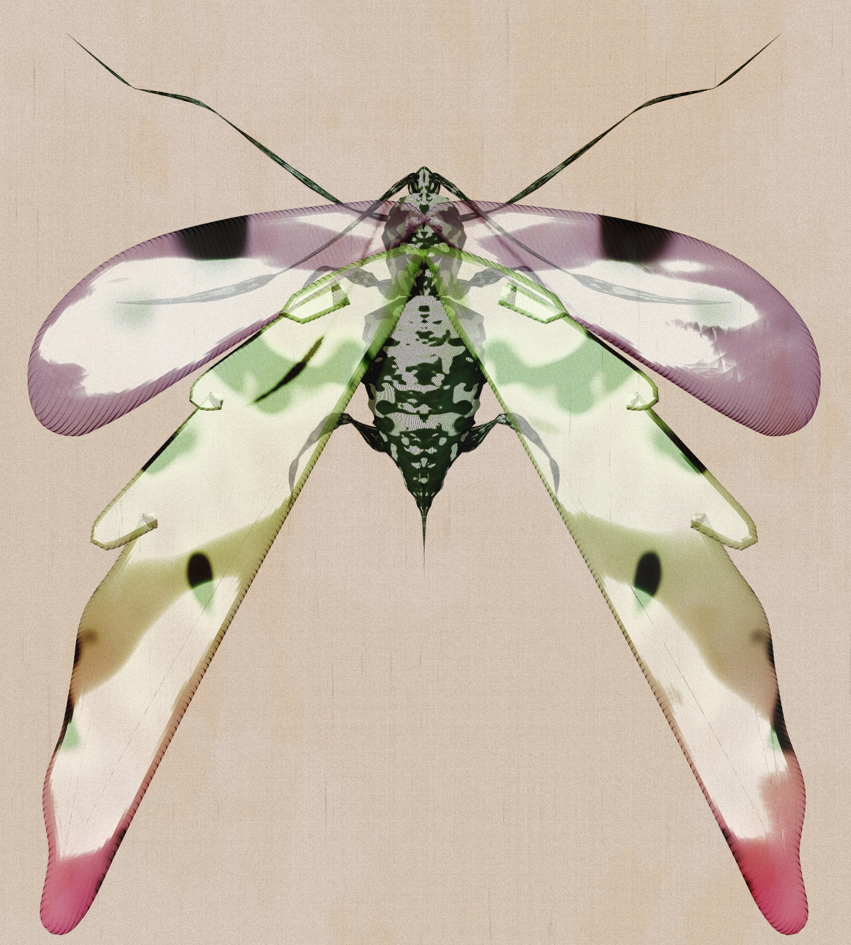 Cover Image for ProcGen Entomology